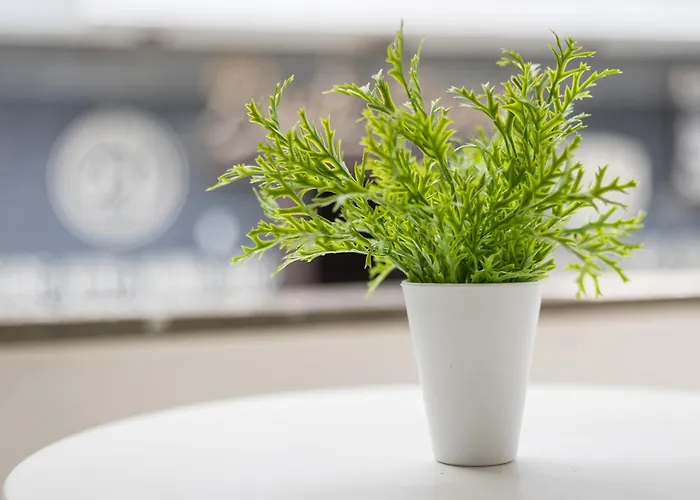 Lägenhet Home2Book Charming Duplex Near Corralejo Beach Corralejo