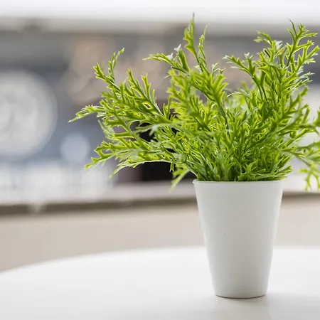 Διαμέρισμα Home2book Cozy Duplex Steps From The Ocean Κοραλέχο